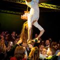 acrobaat boeken