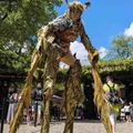 GoldkaferTagZoo