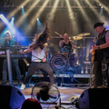 Whitesnake Tribute Band buchen