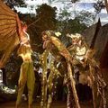 Zu Dritt Insekten MartinEickmann Zoo
