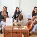 Contrata trío de violinistas para tus eventos