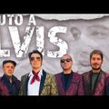  Contrata a este Tributo a Elvis Presley