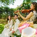 Talentosa violinista para eventos