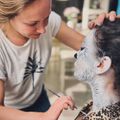 facepainter amber boeken