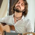 Professioneel gitarist boeken