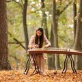 chinese harpist boeken