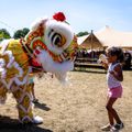 chinese leeuwendans boeken