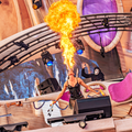 fire show