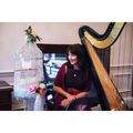 harpist hire for any party, wedding or Gala