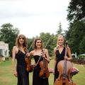 string-trio-for-hire.jpeg