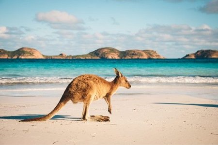 australia travel.jpg