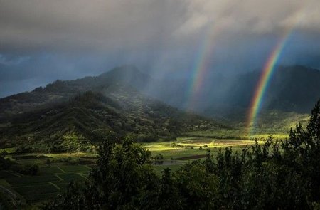 hawai.jpg