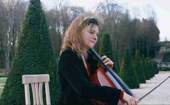 violon