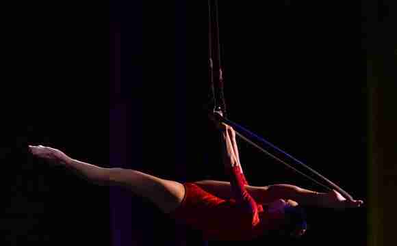 The Aerial Dance Duo boeken