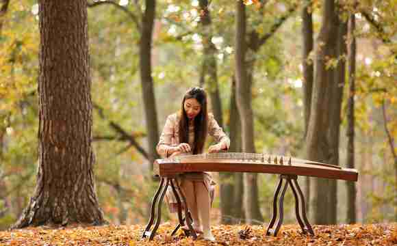 chinese harpist boeken