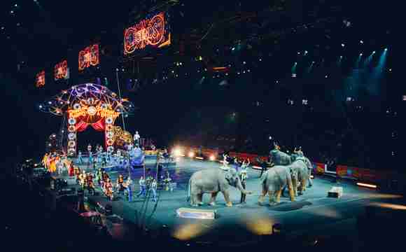 circus feest boeken