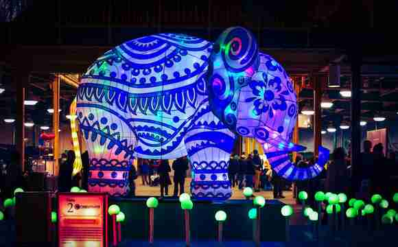 Jungle Thema Feest boeken