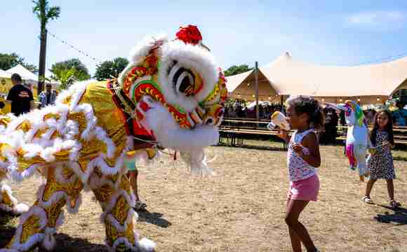 chinese leeuwendans boeken