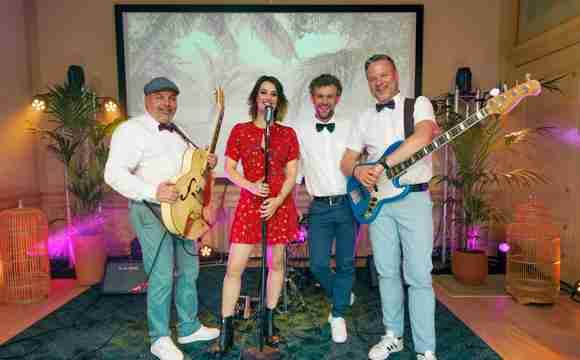 muziek bands