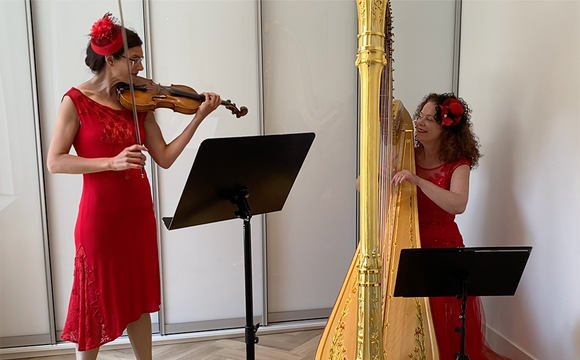 Harpist boeken?