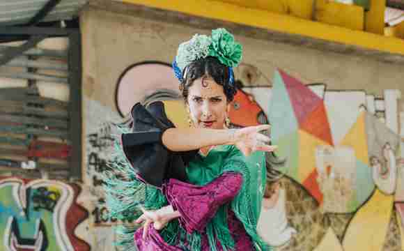 flamenco danseres boeken receptie.png