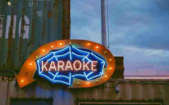 karaoke feest organiseren