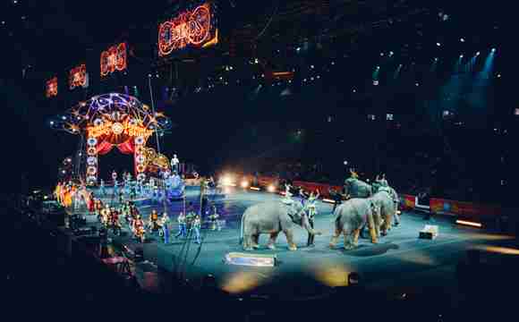 circus feest boeken