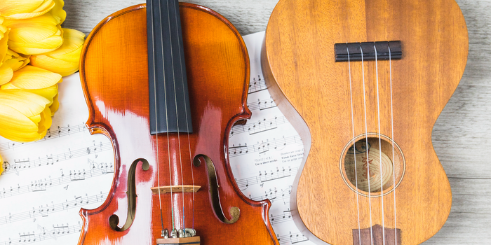 violin-gitarr