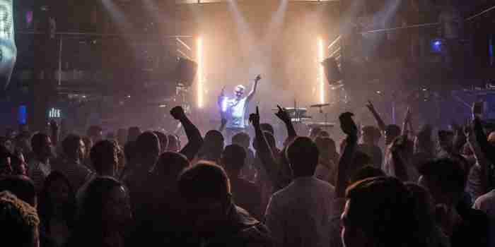Saxofonist und Trance DJ buchen