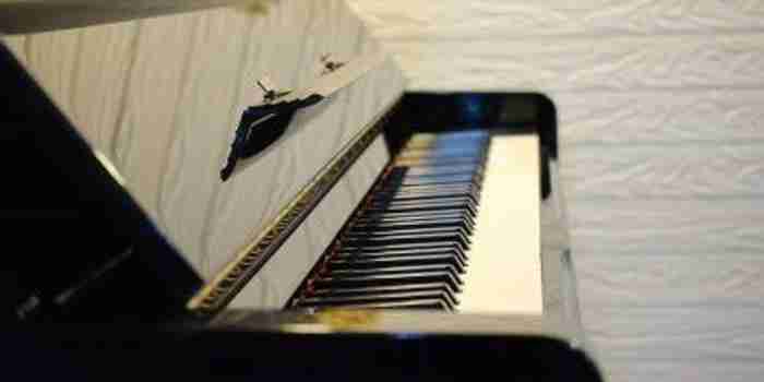 Piano-feest.jpg