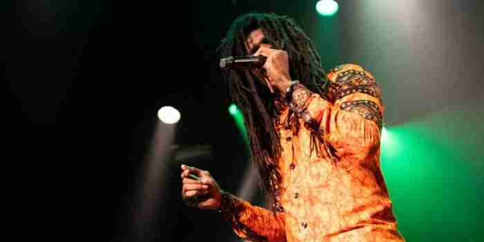 Reggae boeken.jpeg