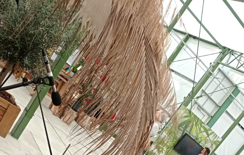 Bryan Drums Floriade hippie Almere