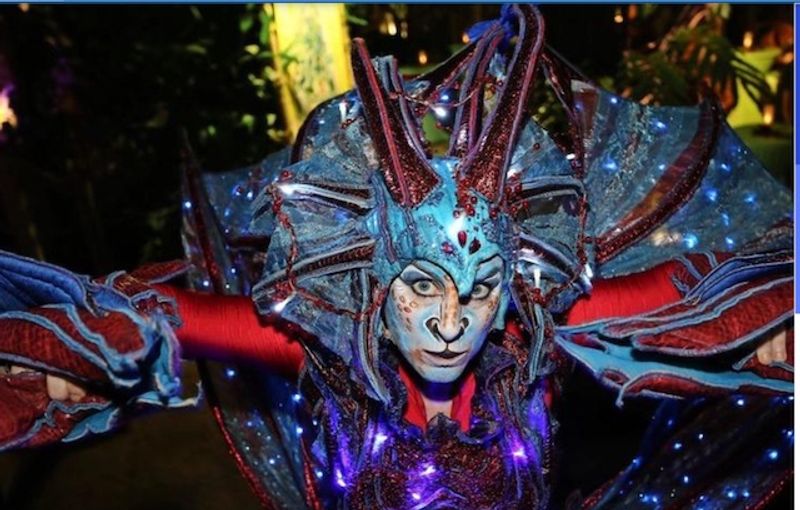 Drachen mit Facepaint unbekannt