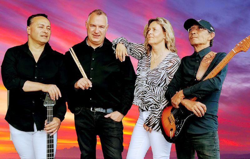 Level tribute band v