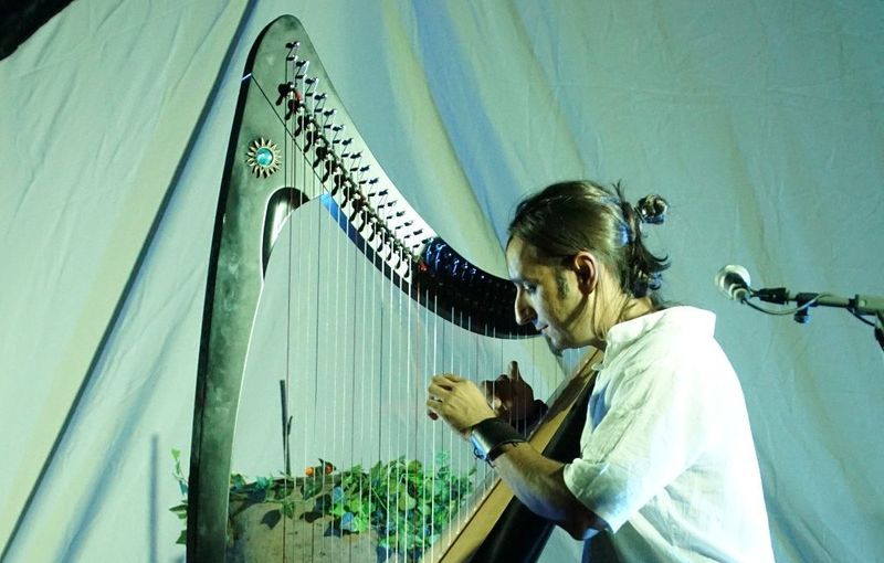 Arpista profesional para amenizar la velada