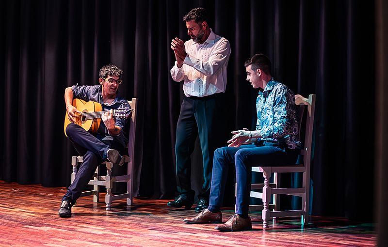 Cantante Flamenco evenses