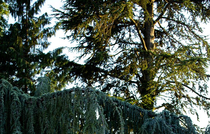 Cover Club photo Bastien Larue