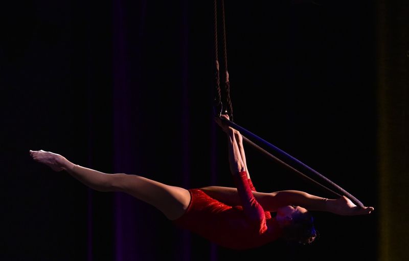 The Aerial Dance Duo boeken