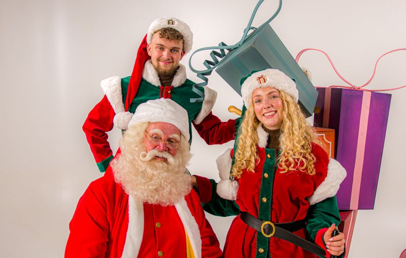 kerstman en elfjes boeken