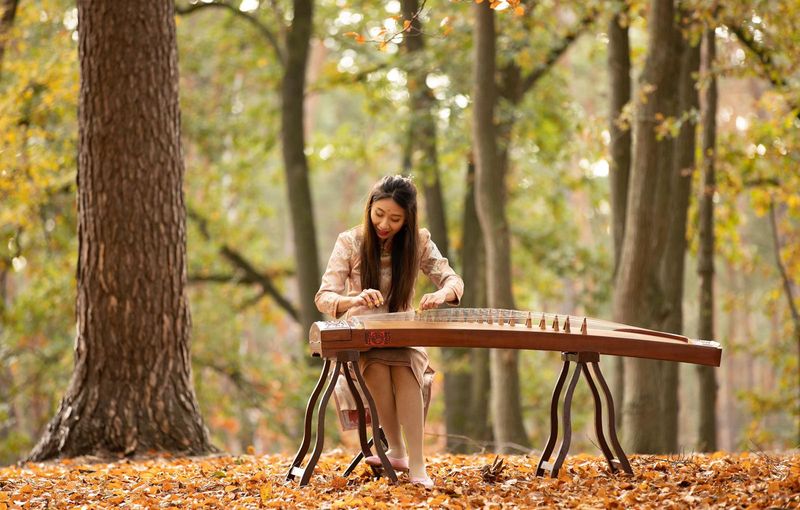 chinese harpist boeken