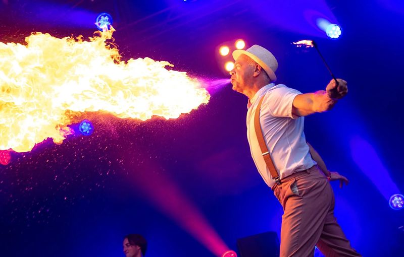 Vuurshow act boeken