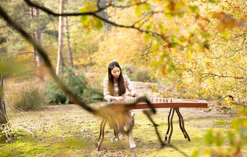 Chinese Guzheng huren