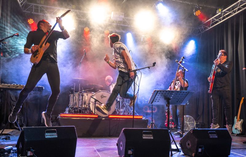 actie sander en zanger