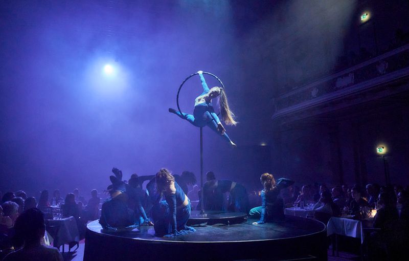 aerial ring act