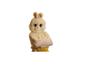 Påskeharen 