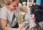 facepainter amber boeken